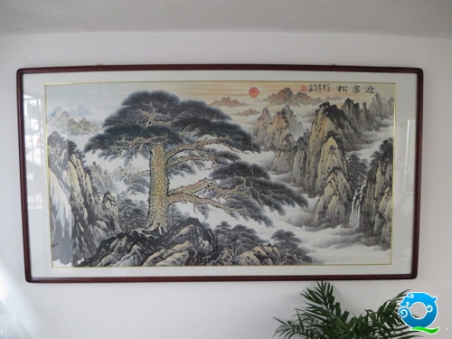 迎客松.jpg