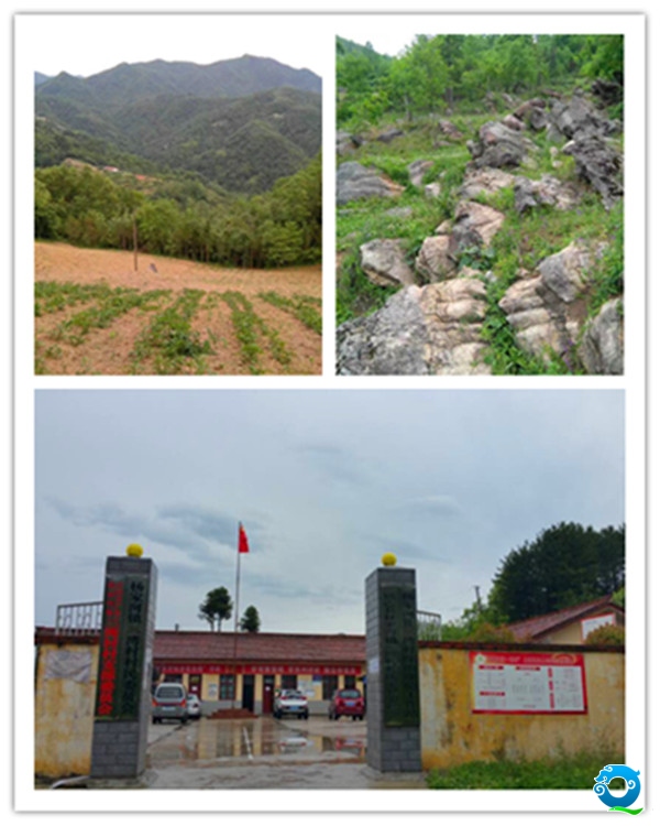 三湾村貌_副本.jpg