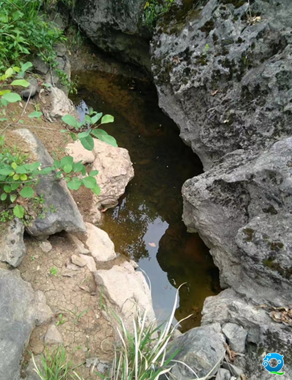 水池_副本.jpg