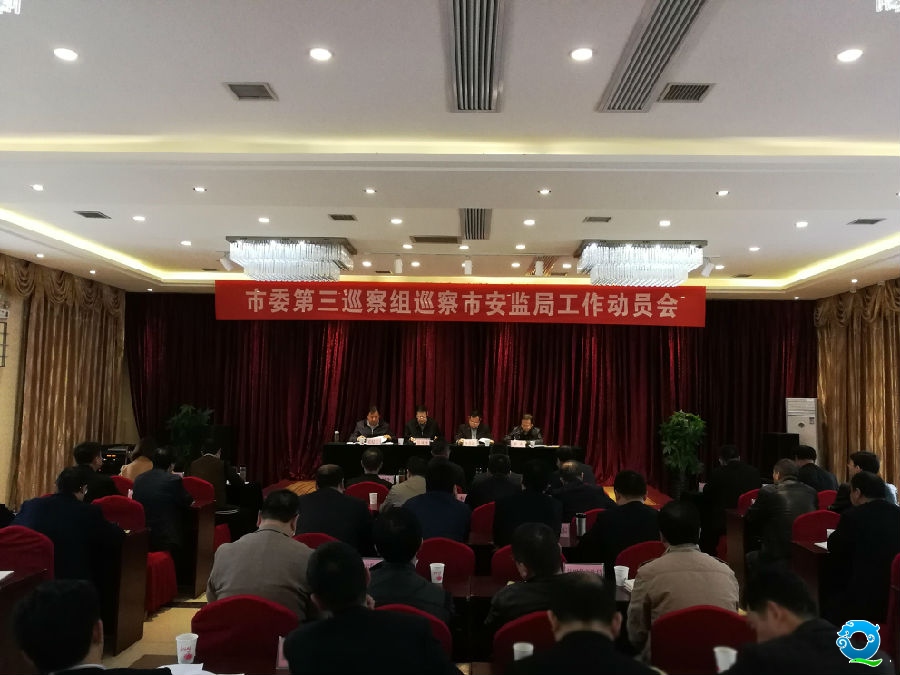 市委第三巡察组专项巡察市安监局党组.jpg