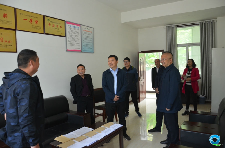 杨书记调研_副本.jpg
